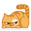 cat6    {cat6} {cat6}