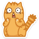 cat10    {cat10} {cat10}