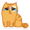 cat12    {cat12} {cat12}