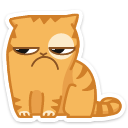 cat41    {cat41} {cat41}