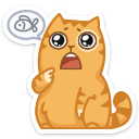 cat47    {cat47} {cat47}